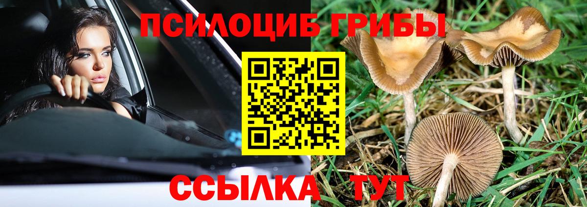 Галлюциногенные грибы Psilocybine cubensis  Псилоцибиновые грибы ЛСД  где продают   Вход с VPN  Кимры 